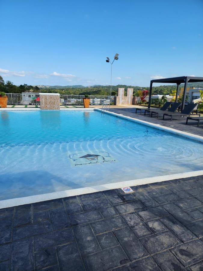 Pyramid Joy, 2 Bedroom Villa, Ocho Rios, Jamaica المظهر الخارجي الصورة
